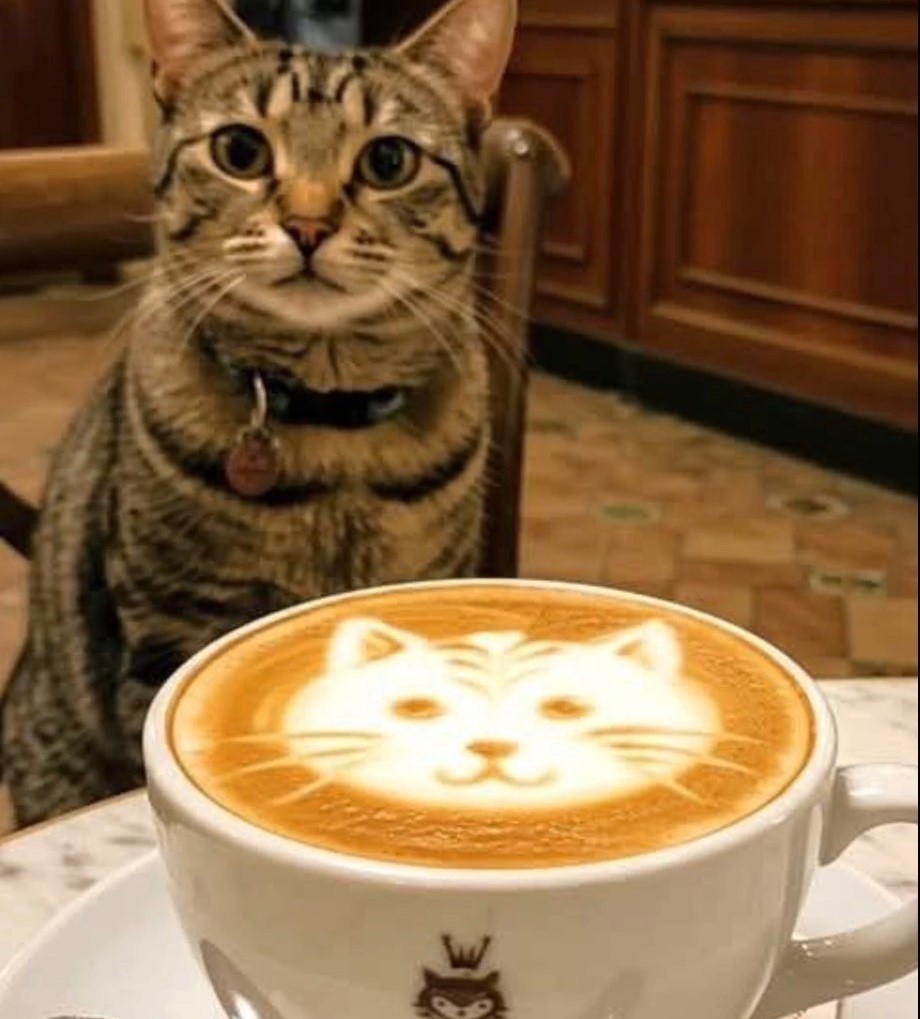 Cat relaxing next to a coffee cup